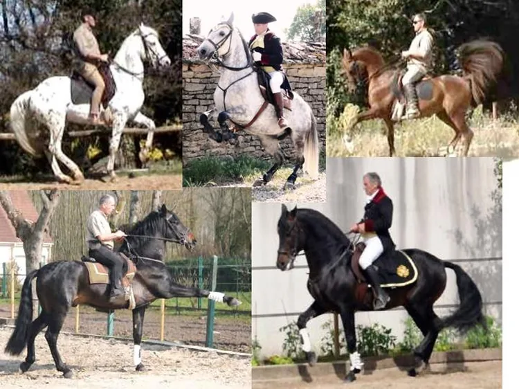 Equitation Française & Patrimoine équestre à Thiescourt, Oise (60)