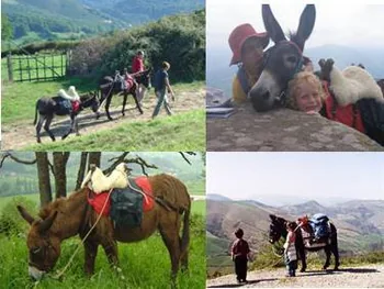 Escap'âne en Pays Basque Intérieur à Irouléguy, Pyrénées-Atlantiques (64)