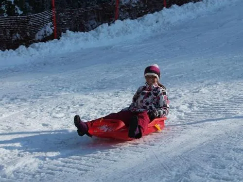 Espace Luge à la Bresse Hohneck - Labell’glisse à La Bresse, Vosges (88)