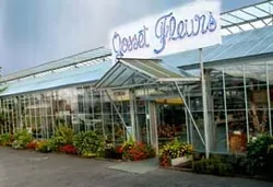 Ets Gosset Fleurs à Amiens, Somme (80)