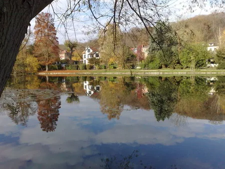 Etangs de Ville d'Avray à Ville-d'Avray, Hauts-de-Seine (92)