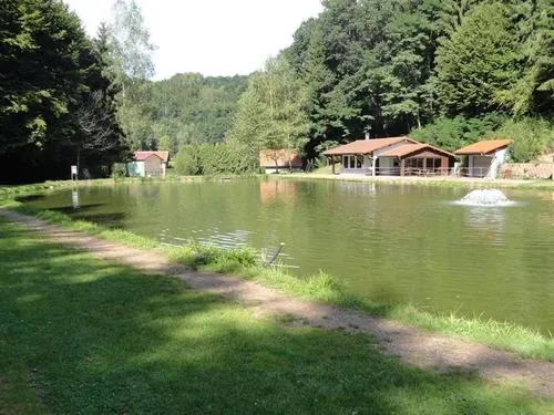 Étang de Pêche de la Herschbach à Hottviller, Moselle (57)