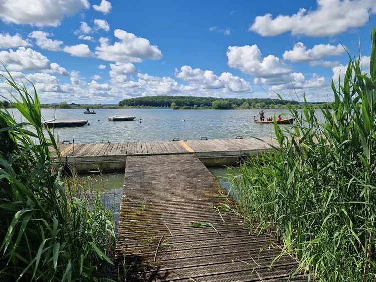 Étang de Perroi à Herméville-en-Woëvre, Meuse (55)