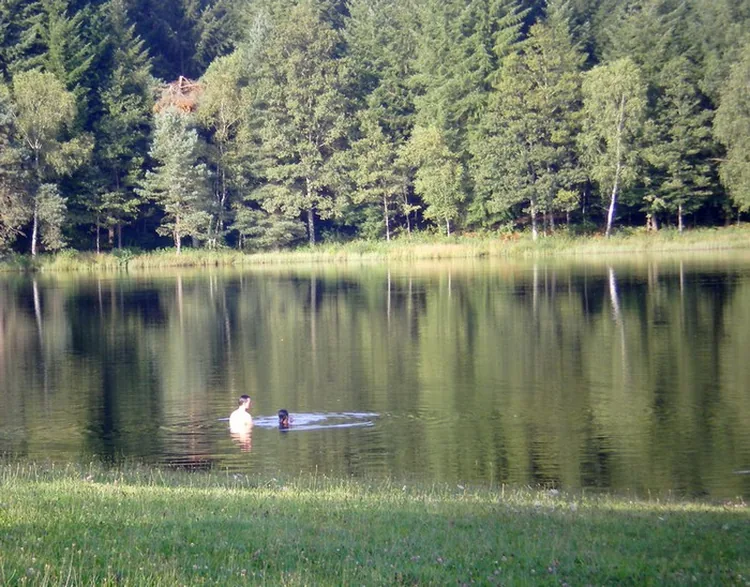 Etang du Prévot à Clergoux, Corrèze (19)