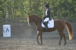 Fanny Bousquet Monitrice d'équitation et Cavalière Indépendante à Blaye-les-Mines, Tarn (81)