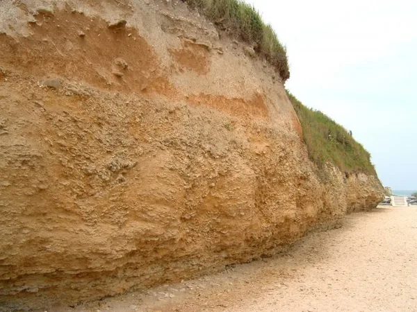 Falaise du Cap Romain à Luc-sur-Mer, Calvados (14)