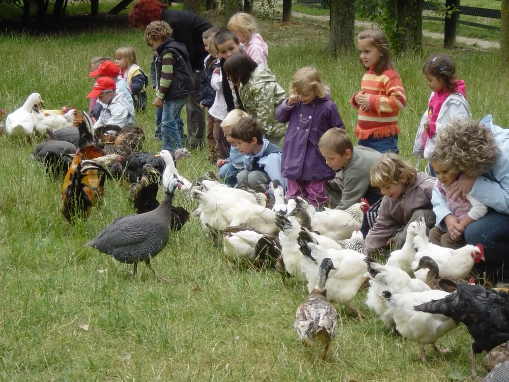 Ferme Pedagogique de Saint-Hilliers à Saint-Hilliers, Seine-et-Marne (77)