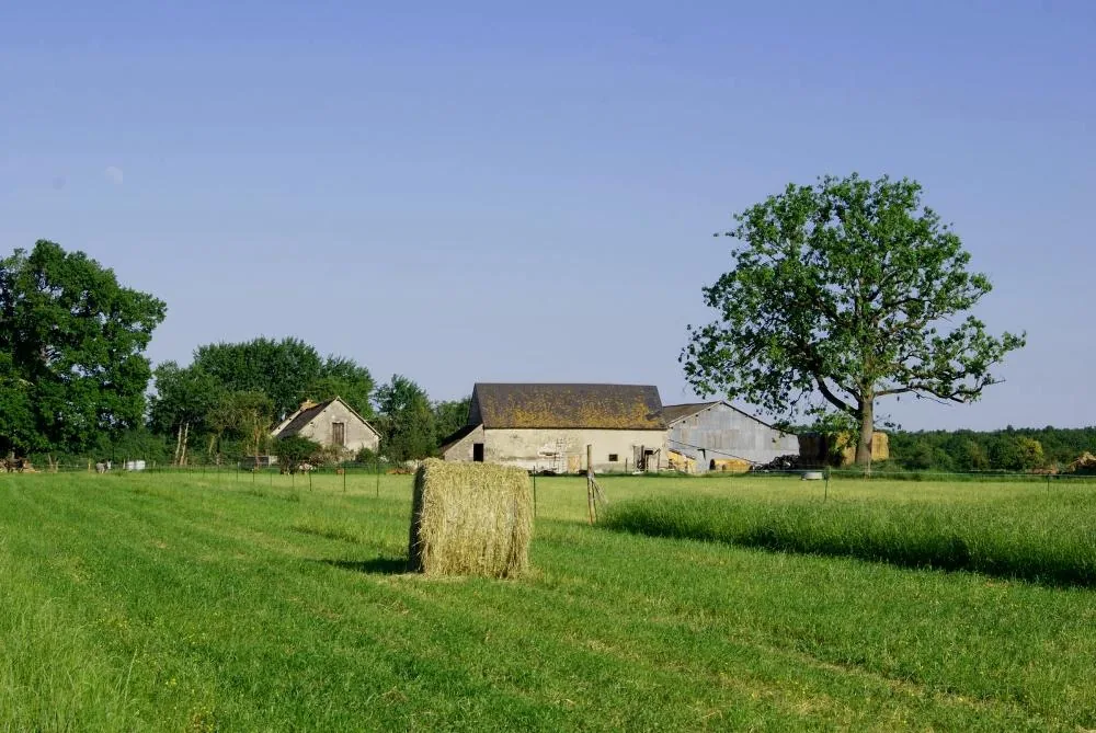 Ferme du Cabri au Lait à Sepmes, Indre-et-Loire (37)