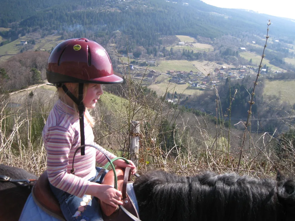 Ferme le Chiblin à Le Bonhomme, Haut-Rhin (68)