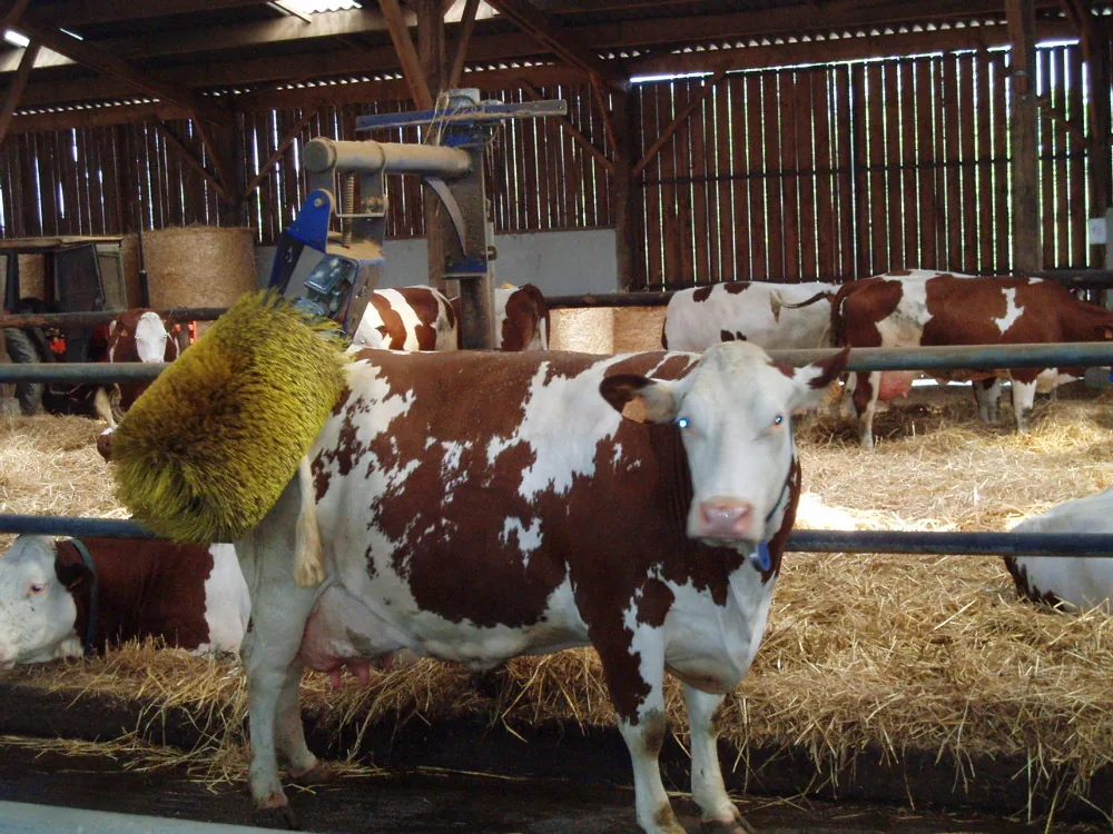 Ferme les Treize Fontaines à Brézins, Isère (38)