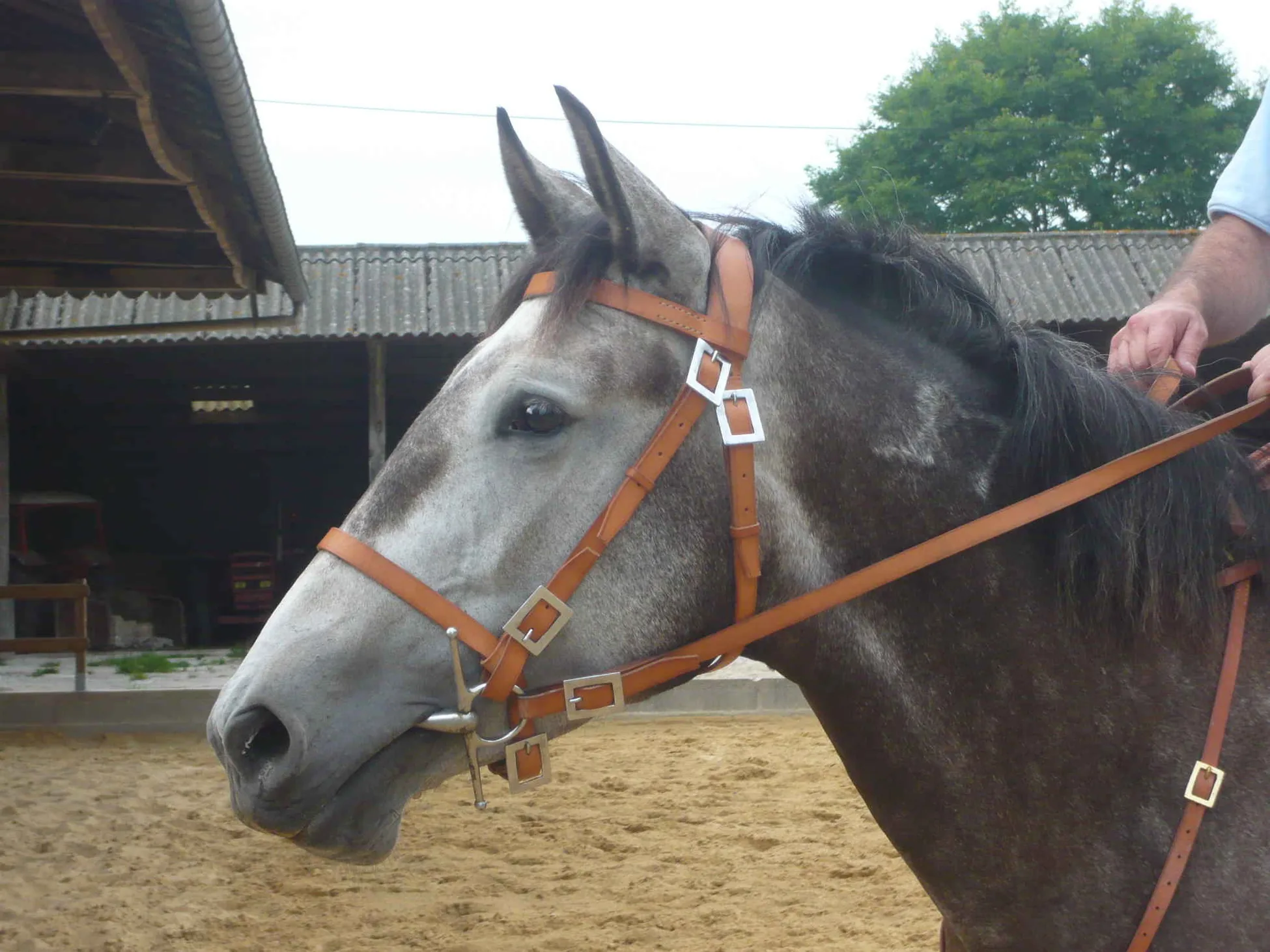 Ferme Equestre de Muchedent à Muchedent, Seine-Maritime (76)