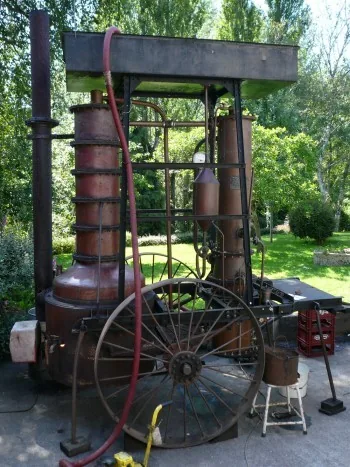 Ferme Cidricole de l'Hermitière à Saint-Jean-des-Champs, Manche (50)