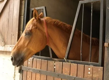 Ferme Equestre de Lagesse à Lagesse, Aube (10)