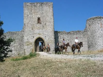 Ferme Équestre du Soularac à Roumengoux, Ariège (09)