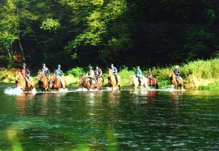 FERME EQUESTRE DE LA CHENAIE à Givonne, Ardennes (08)