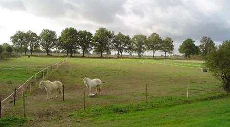 Ferme Equestre le Refuge à Pouancé, Maine-et-Loire (49)