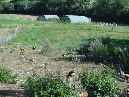 Ferme du Vialaret à Ségur, Aveyron (12)