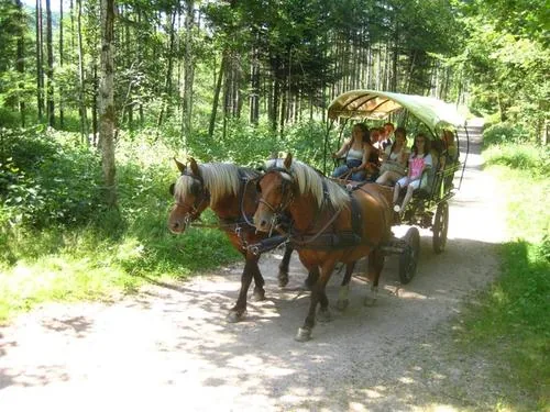 Ferme Equestre Equi'Val à Le Tholy, Vosges (88)