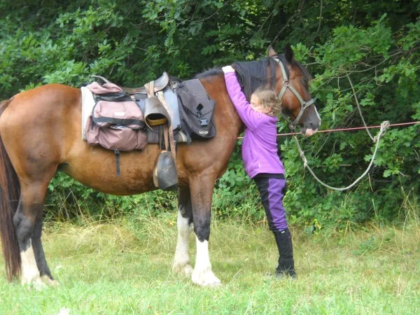 Equestryan à Viviès, Ariège (09)