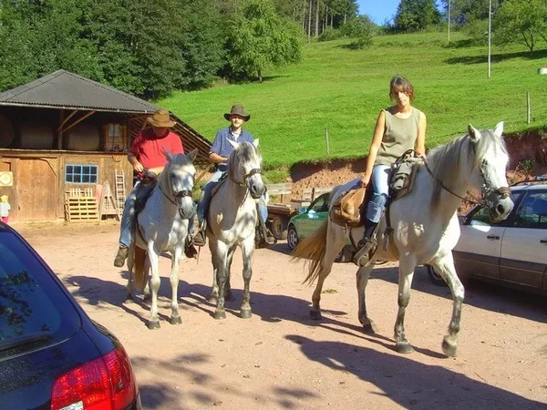 Ferme Equestre du Chauffour