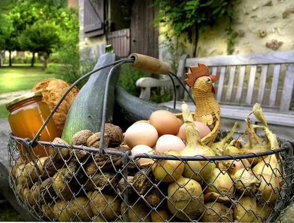 Ferme au Colombier - Ferme de découverte à Néron, Eure-et-Loir (28)