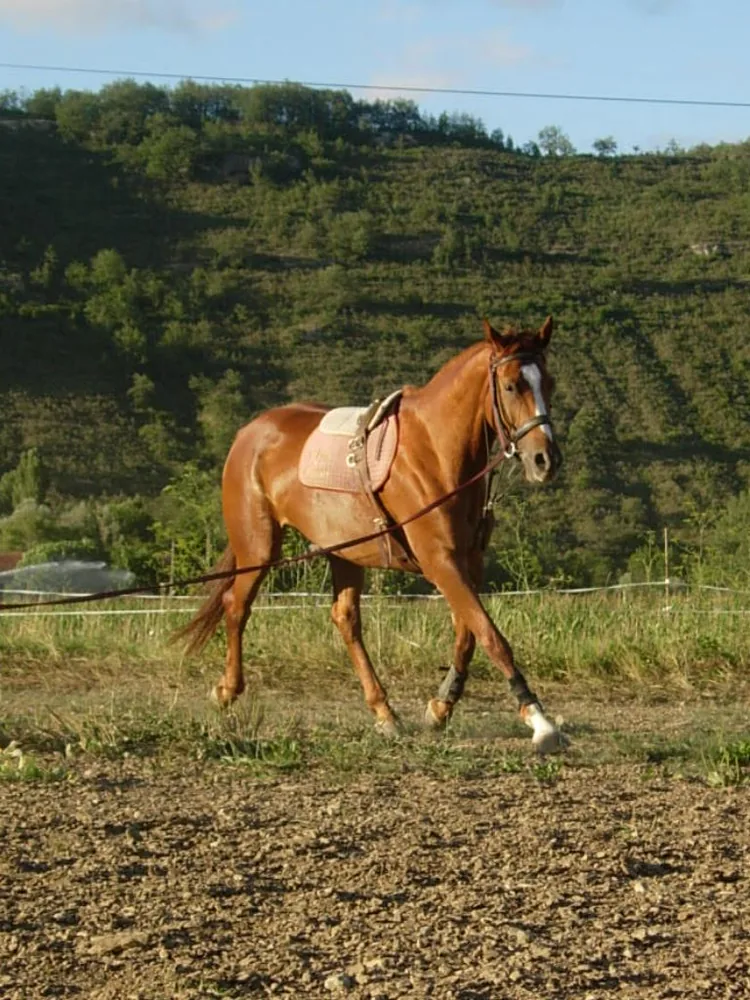 Ferme Équestre de la Barre à Dun, Ariège (09)