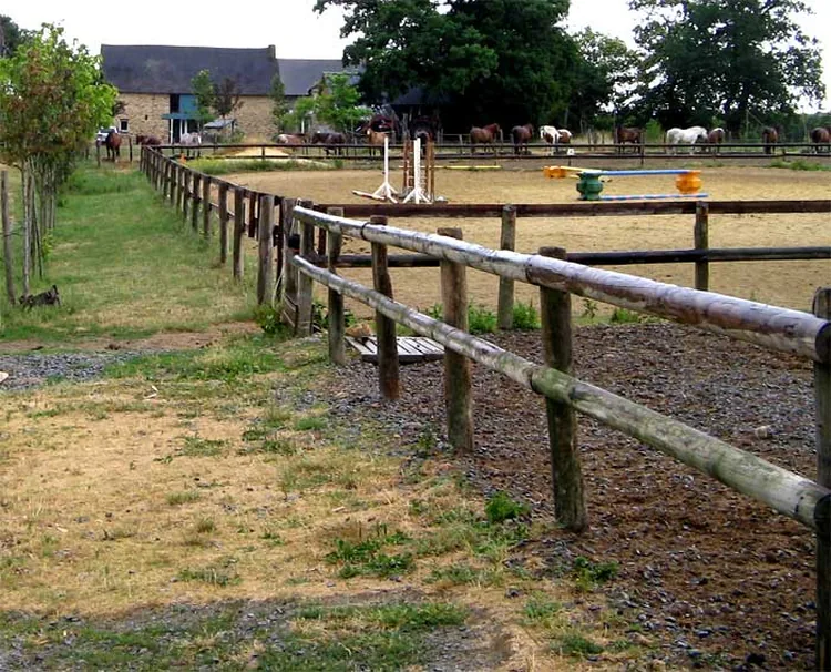 Ferme Équestre la Ruée Vers l'Air à Guignen, Ille-et-Vilaine (35)