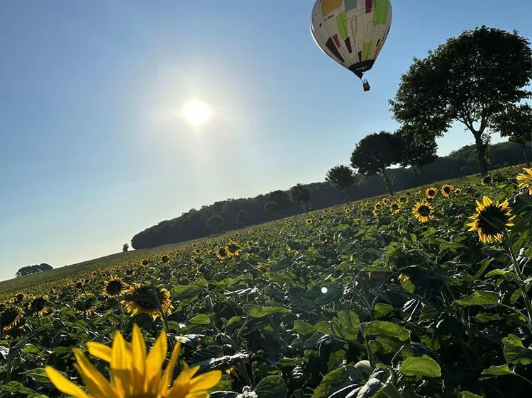 Fly Montgolfière à Vigneulles-lès-Hattonchâtel, Meuse (55)