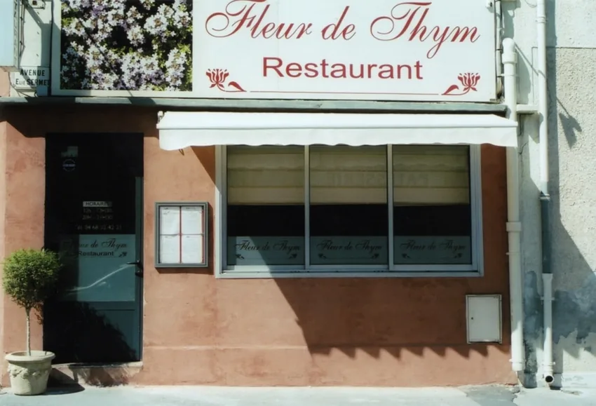 Fleur de Thym à Narbonne, Aude (11)