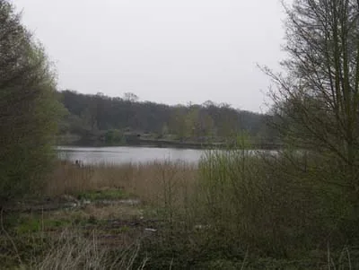 Forêt Régionale de Bondy à Clichy-sous-Bois, Seine-Saint-Denis (93)