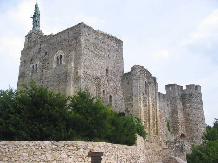 Forteresse du Faucon Noir à Montbazon, Indre-et-Loire (37)