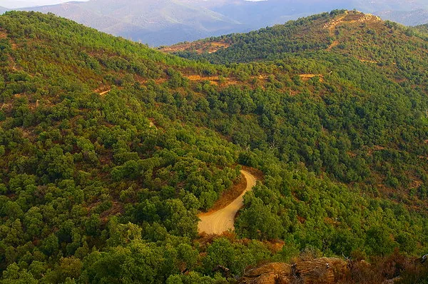 Fun Adventure à Roquebrune-sur-Argens, Var (83)