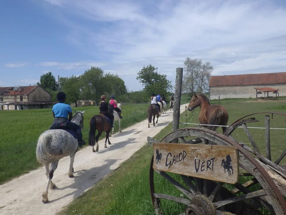 Galop Vert à Châtillon-Coligny, Loiret (45)