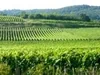 Gites en Alsace à Hunawihr, Haut-Rhin (68)