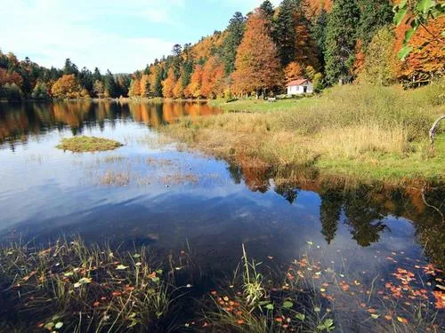 Gilles Gounant - Randonnées Photos à Saulxures-sur-Moselotte, Vosges (88)