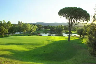 Golf Old Course Cannes-Mandelieu à Mandelieu-la-Napoule, Alpes-Maritimes (06)