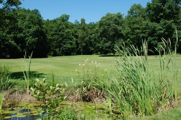 Golf des Serves à Saint-Genis-Pouilly, Ain (01)