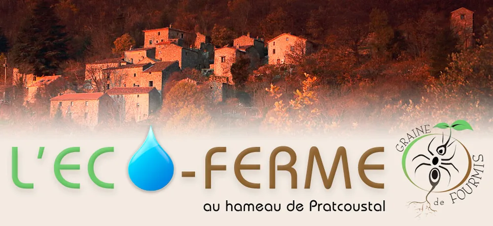 Graine de Fourmis Eco Ferme à Arphy, Gard (30)