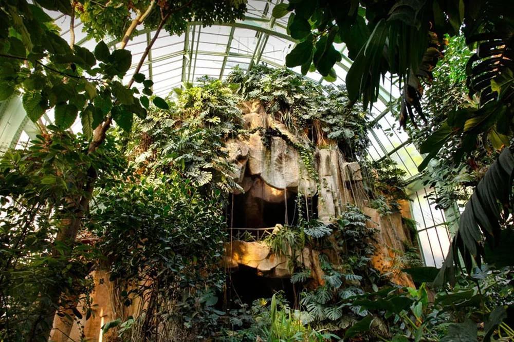 Ménagerie, le Zoo du Jardin des Plantes