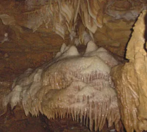 Grottes de la Norée à Biard, Vienne (86)