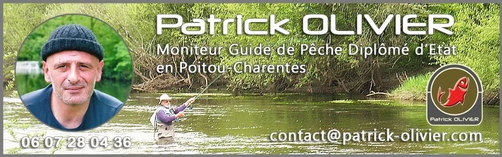 Guide de Pêche en Poitou-Charentes à Échiré, Deux-Sèvres (79)