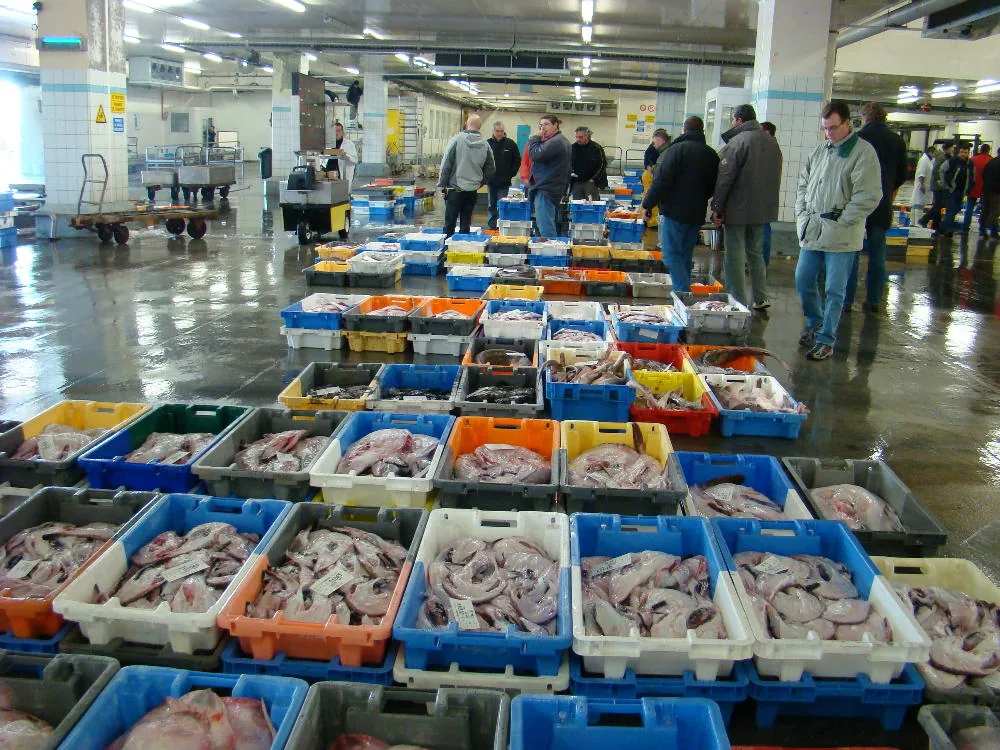 Haliotika - la Cité de la Pêche à Le Guilvinec, Finistère (29)