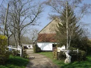 Haras de Silvabelle à Mars-sur-Allier, Nièvre (58)