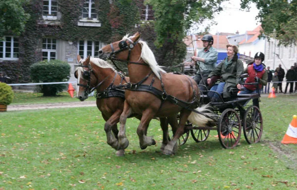 Haras National à Besançon, Doubs (25)