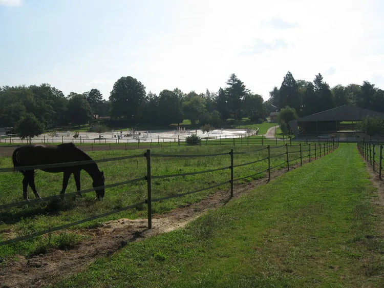 Haras de Louravi à Bazainville, Yvelines (78)