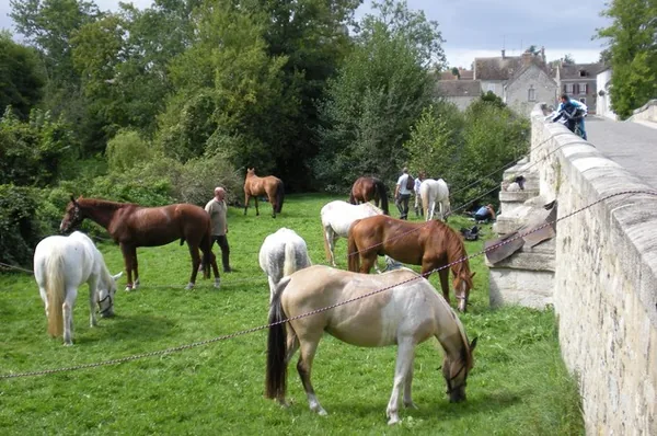 Horse Dreams à Achères-la-Forêt, Seine-et-Marne (77)