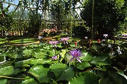 Jardin des Plantes à Lyon, Rhône (69)