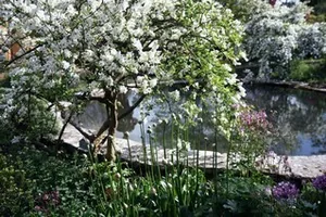 Jardin Francois à Préaux-du-Perche, Orne (61)