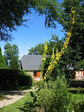 Jardin des Amouhoques à Le Mesnil-Durdent, Seine-Maritime (76)