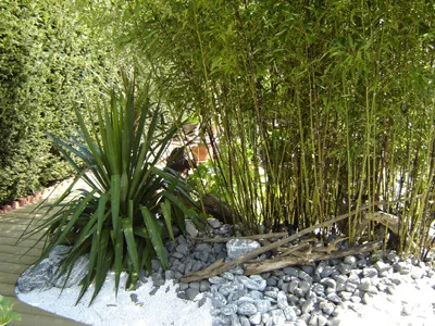 Jardin Bourbacane à Vitry-en-Perthois, Marne (51)